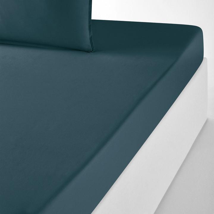 Image du produit La Redoute Interieurs Percale Bio (Housse de couette, 180 x 200 cm)