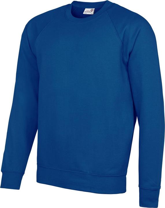 Awdis Academy RundhalsSweatshirt