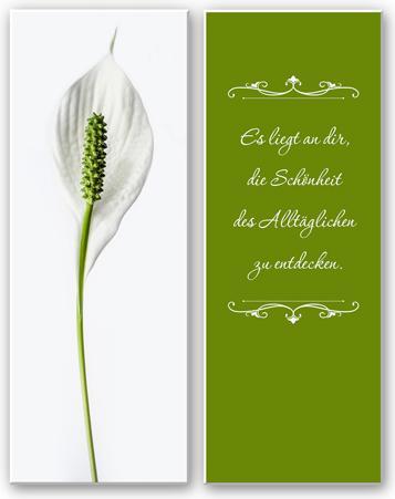Produktbild Trenddeko Es liegt an dir, die Schönheit des Alltäglichen zu entdecken (2-teilig) (50 x 120 cm)