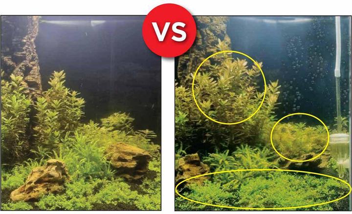 Produktbild Fluval Bio Co2 Set (Aquarium Reinigung)