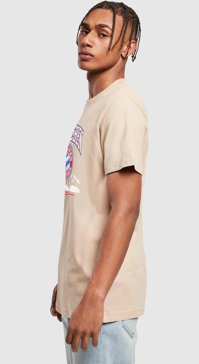 Image du produit FC Bayern München FC Bayern Skyline grey T-shirt col rond - 115513 (L)