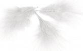 Image du produit Rayher Plume déco, blanche, 10 pièces