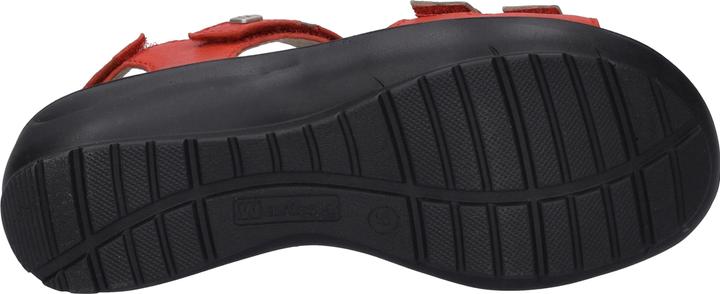 Actual product image Westland 25902-644 (39)
