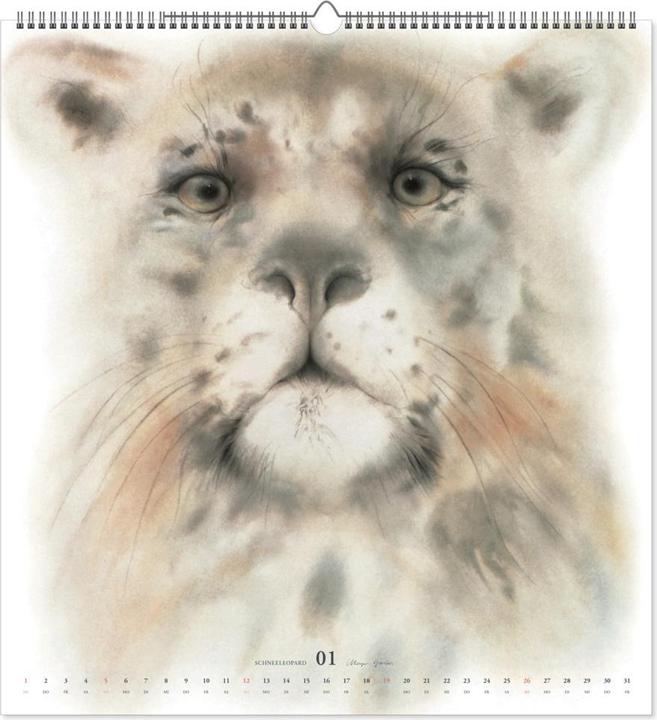 Actual product image 100 years Klaus Meyer-Gaster's anniversary (45 x 48 cm, German)