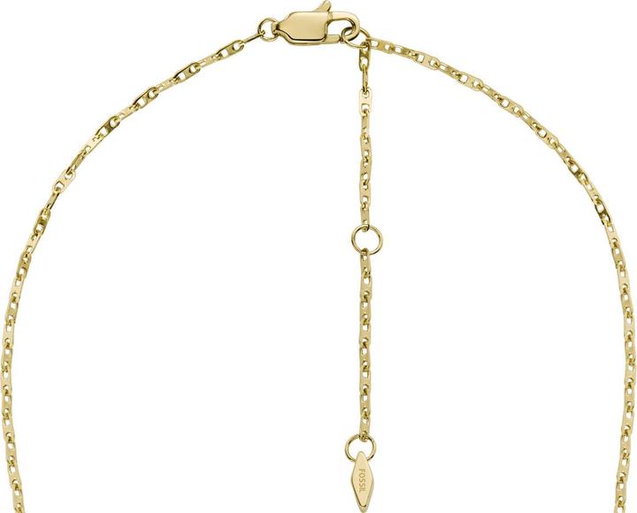 Immagine prodotto Fossil Collana Heritage (Acciaio inossidabile, 40 - 45 cm)