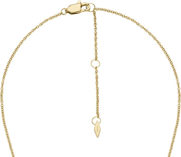 Actual product image Fossil Harlow Necklace (Stainless steel, 40 - 45 cm)