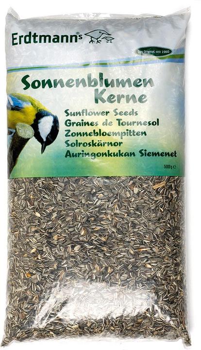Erdtmann Sonnenblumenkerne 5kg (1 x, 5 kg)