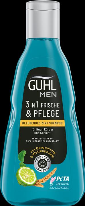 Actual product image Guhl Men 3in1 Shampoo Freshness & Care (250 ml, Liquid shampoo)