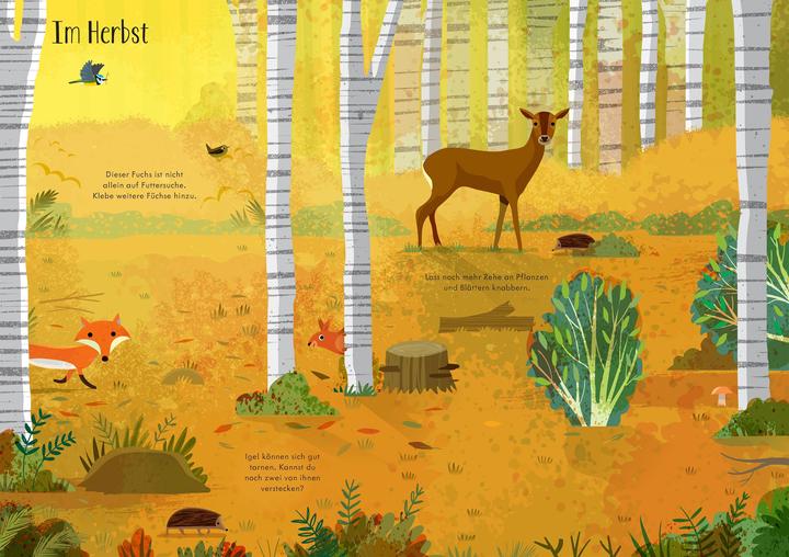 Produktbild Mein Immer-wieder-Stickerbuch: Im Wald