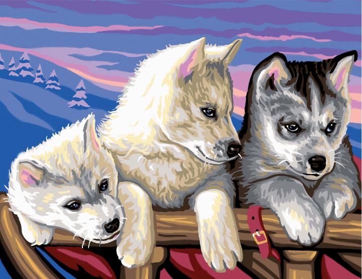 Immagine prodotto Dipingere con i numeri Huskies