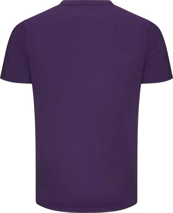 Produktbild Awdis The 100 TShirt (XL)