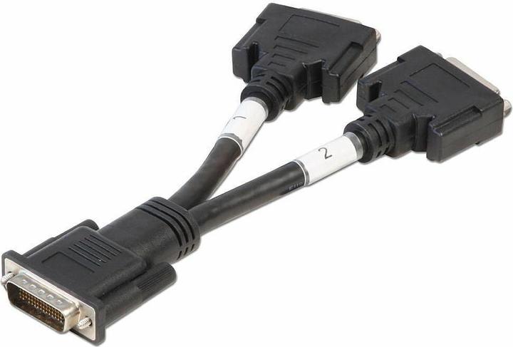 Actual product image Lindy Adapter cable DMS59/2x DVI-I(F) length approx. 16cm (0.16 m, DVI)
