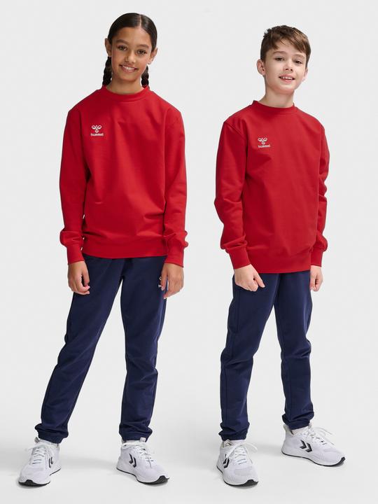 Actual product image hummel Hmlgo 2.0 Sweatshirt Kids (140)