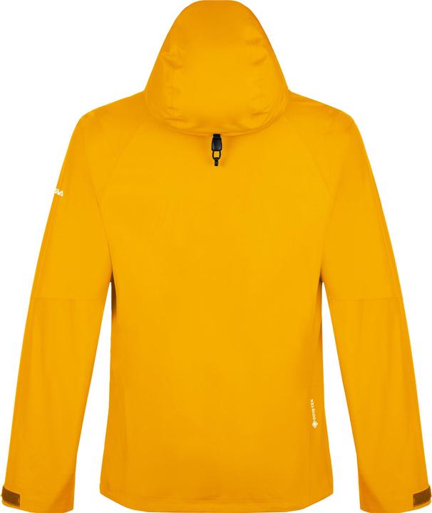 Actual product image Salewa Puez GORE-TEX PACLITE® Jacket (46)
