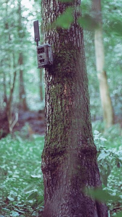 Actual product image Seissiger Wildkamera Tree stand
