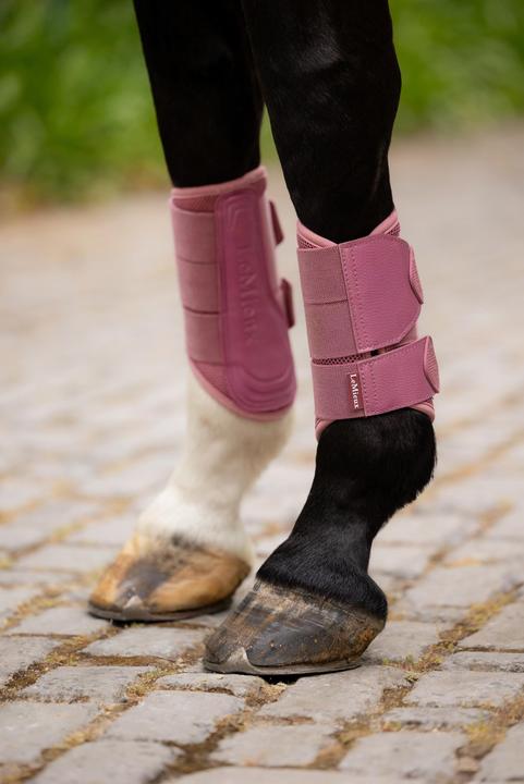 Actual product image LeMieux Arika (M)