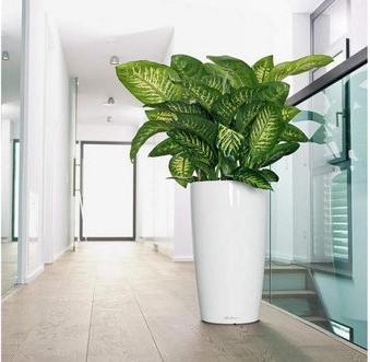 Produktbild Lechuza RONDO Premium. (40 cm)