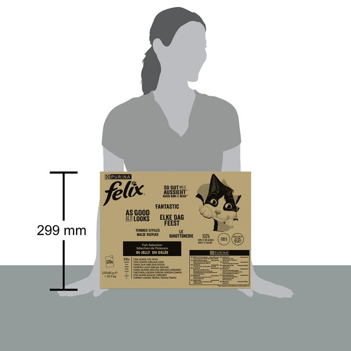 Produktbild Felix Fisch (Thunfisch, Lachs, Kabeljau, Seelachs) (Adult, 120 Stk., 10200 g)