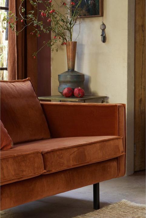 Image du produit BePureHome Rodeo (2,5 places)