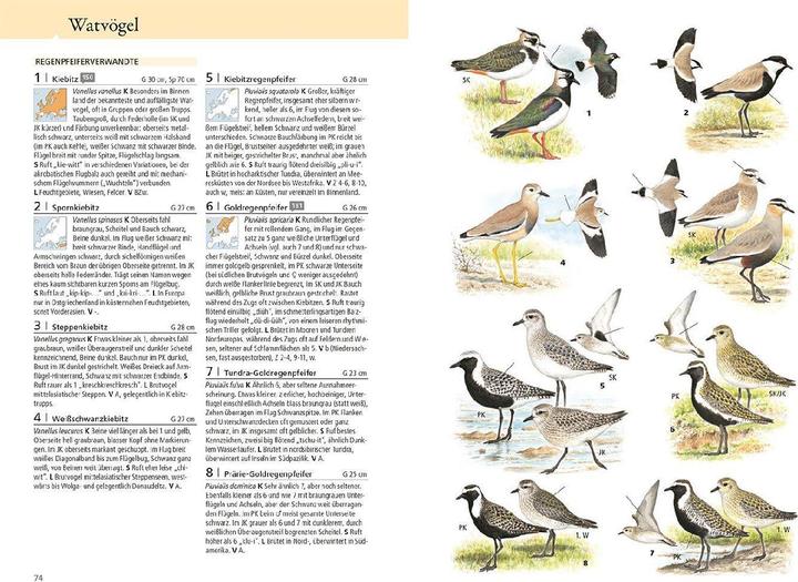Immagine prodotto Kosmos Was fliegt denn da? Das Original (Tedesco, Paschal Dougalis, Peter H. Barthel, 2024)