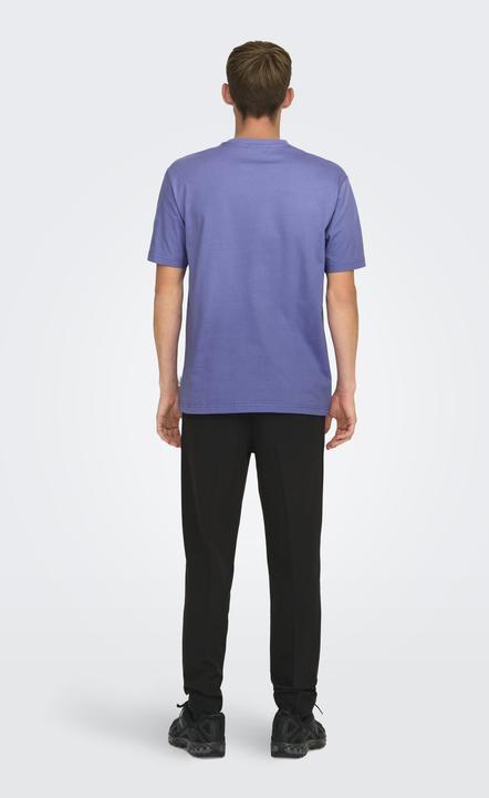 Immagine prodotto Only & Sons T-shirt a girocollo loose fit (M)