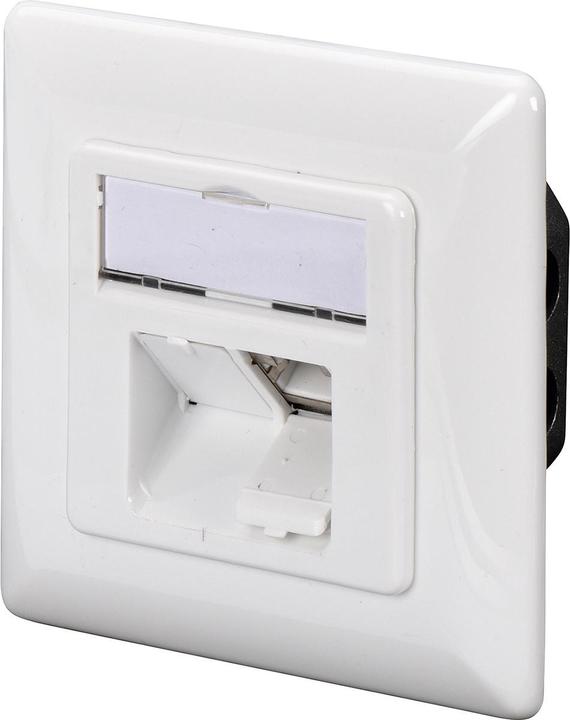 Actual product image Digitus CAT 6A Class EA network socket