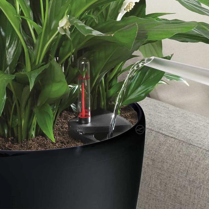 Image du produit Lechuza Classico Color (27.50 cm)