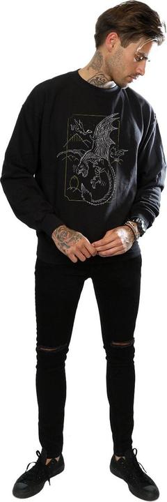 Actual product image Mens Dragon Line Art Sweatshirt (M)