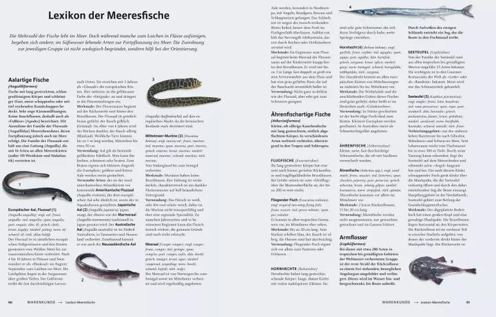 Produktbild Das grosse Buch vom Fisch (Deutsch, Teubner, 2019)