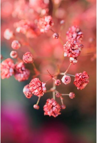 Immagine prodotto Canon EOS R50 (24.20 Mpx, APS-C / DX)
