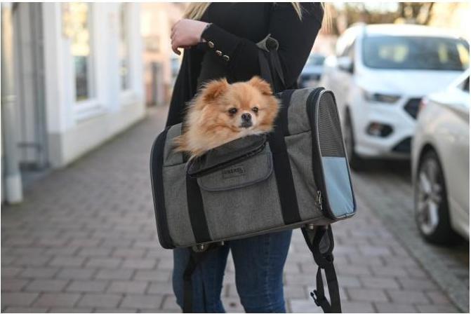 Actual product image Kerbl Dog Backpack Vacation (Dog, Reflectors, Machine washable)