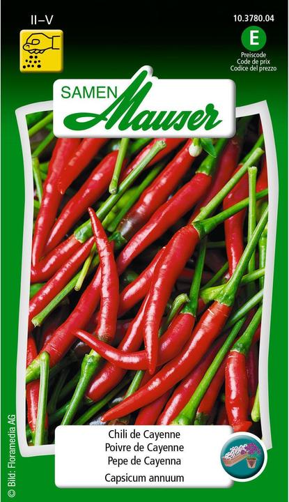 Pepperoni Chili de Cayenne (Vegetable seeds)