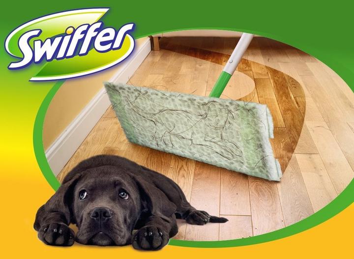 Actual product image Swiffer Sweeper Refills (36 pcs.)
