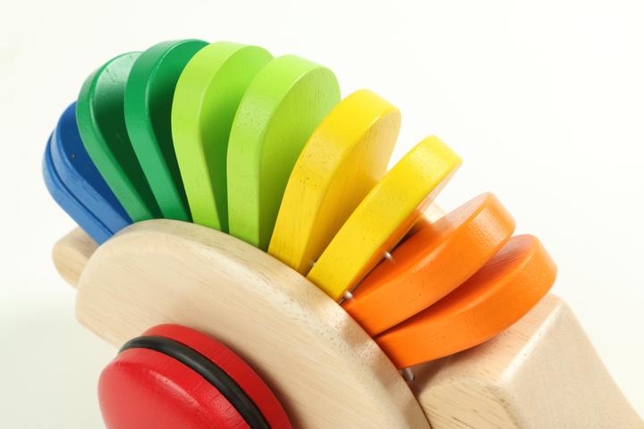 Actual product image Pintoy Pull-along hedgehog
