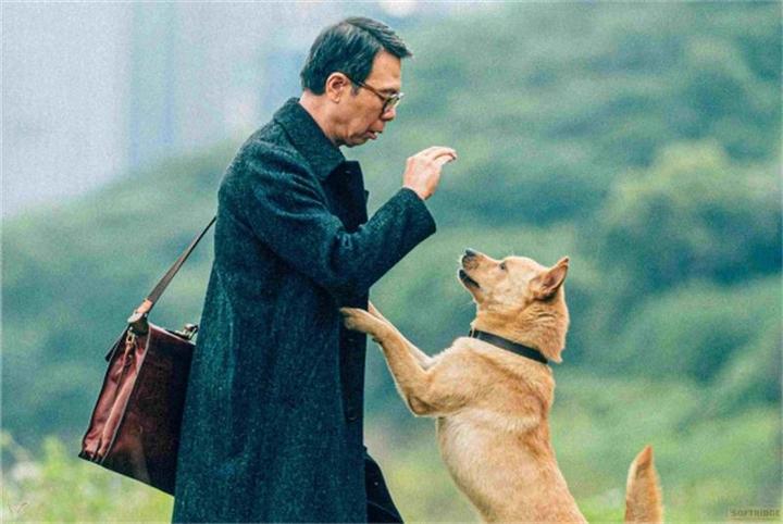 Produktbild Hachiko - Eine Freundschaft für die Ewigkeit! (DVD, 2023, Deutsch)