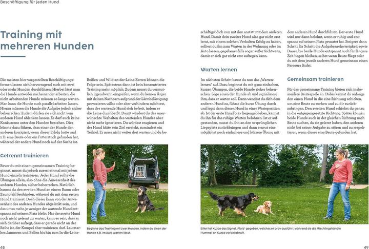 Produktbild Kosmos Hunde beschäftigen mit Martin Rütter (Deutsch, Martin Rütter, Andrea Buisman, 2022)