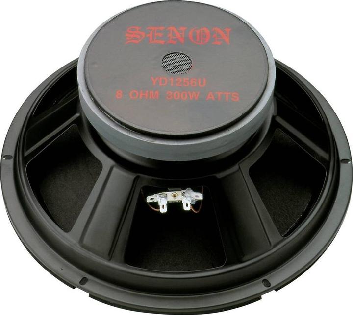 Image du produit Rockwood Blanko PA Bass Fullrange 300 mm Haut-parleur pour guitare (1 pièce)