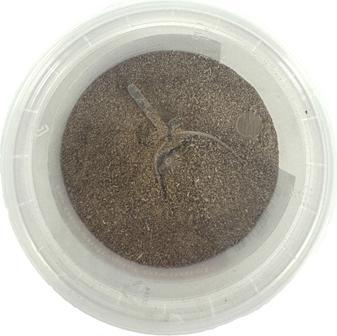 Produktbild Dierendrogist Groenlipmossel Extract Veterinair (Hund)
