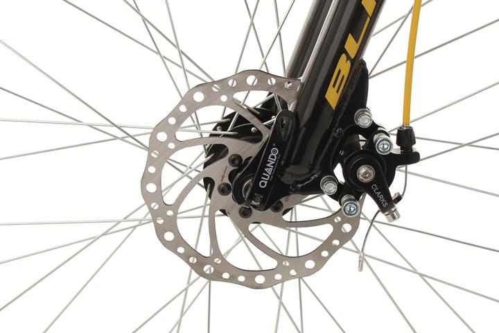 Actual product image KS Cycling Bliss (24")