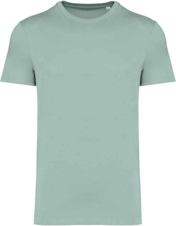 Actual product image Native Spirit Unisex Adult Heavyweight Slim T-Shirt (XXS)
