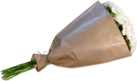 Immagine prodotto Fleurop Fascio di garofani color crema (Fiori recisi)