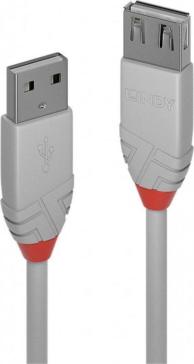 Actual product image Lindy USB A –  USB A (1 m, USB 2.0)