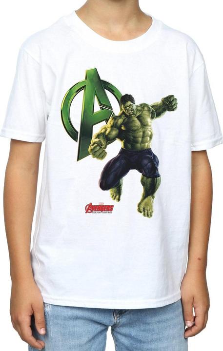 Actual product image Hulk Boys Pose T-Shirt (128)