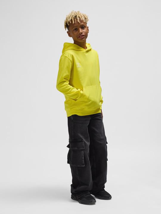 Actual product image hummel HMLGO 2.0 HOODIE KIDS (116)