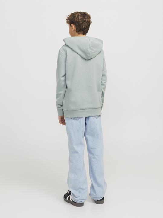 Produktbild Jack & Jones Jjecaleb Varsity Sweat Hood Noos Jnr (152)