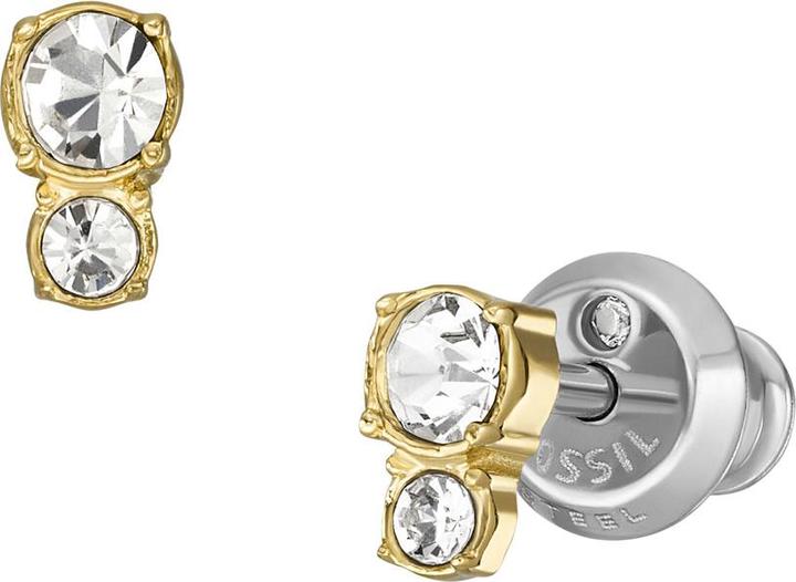 Image du produit Fossil Bijoux Boucles d'oreilles (Acier inoxydable)