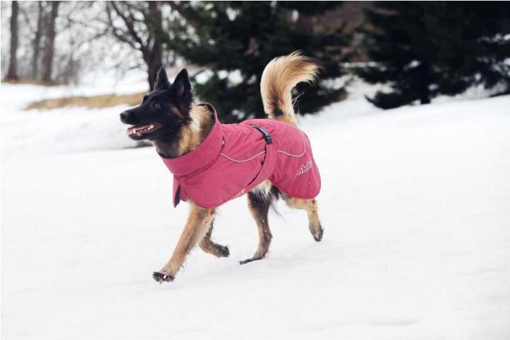 Produktbild Rukka Stormy (45, Hundemantel)