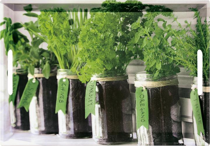 Kesper Plateau de service 'Herbs
