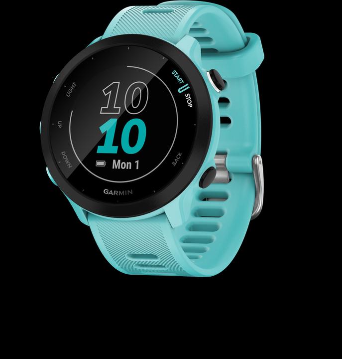 Garmin Forerunner 55 (42 mm)