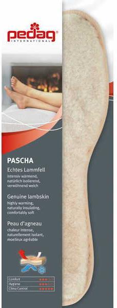 Actual product image Pedag Pascha